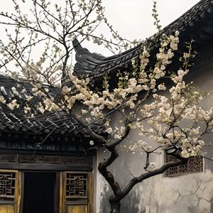 天青色等烟雨粤语