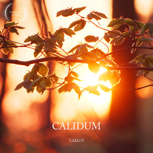 Calidum