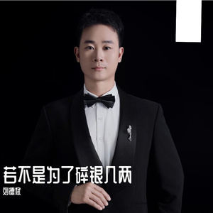 若不是为了碎银几两（沧桑男声） 伴奏