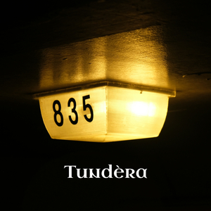 Tundèra