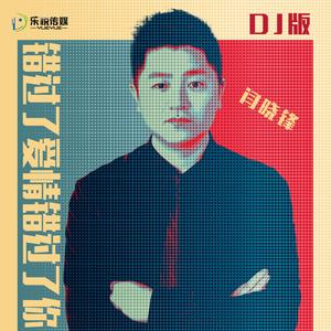 错过了爱情错过了你 (DJ乐悦版)