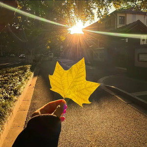 月下泪（cover：二珂）