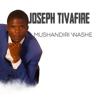 Mushandiri Washe