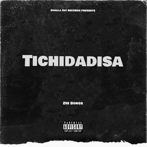 Tichidadisa