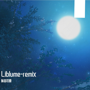 西坂恭平-liblume Pf solo（暖梦初夏 remix）