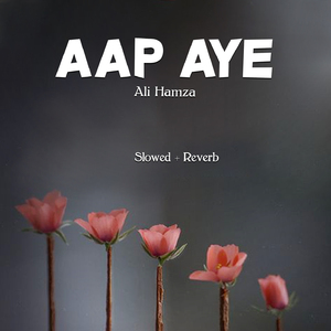 Aap Aye Lofi