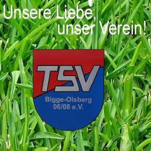 Unsere Liebe, unser Verein! (Radio edit)