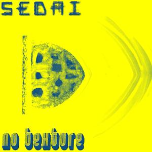 No Texture