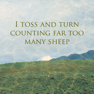 I toss and turn counting far too many sheep