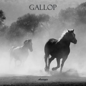 Gallop