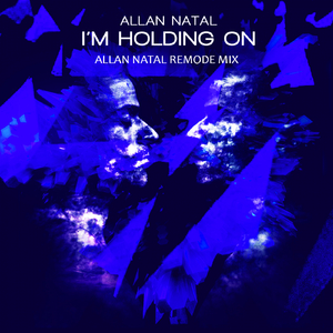 I'm Holding On (Allan Natal Remode Mix)