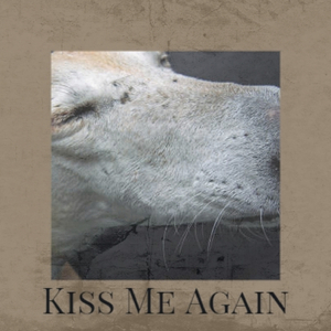 Kiss Me Again