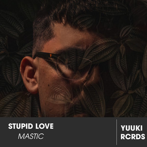 Stupid Love