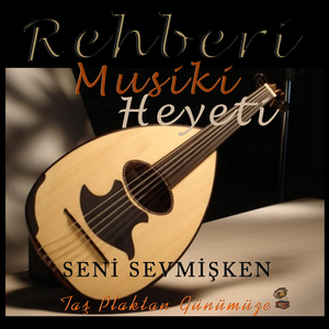 Seni Sevmişken (Taş Plaktan Günümüze)