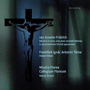 Musica in luctu sive piae considerationes in amarissimam Christi passionem:Recitativo IV