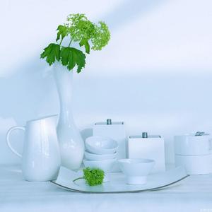 清新的白色 (1)