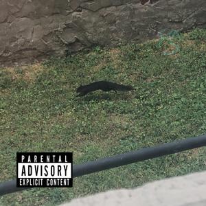 Hop, skip and a jump (feat. Yung Schnooty)