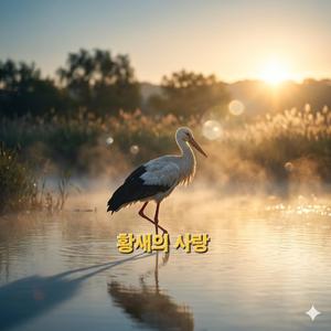 황새의 사랑