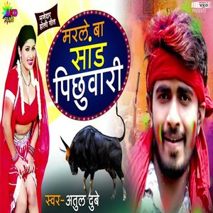 Marle Ba Sadh Pichhuwari