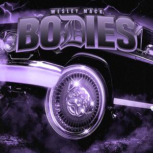 BODIES