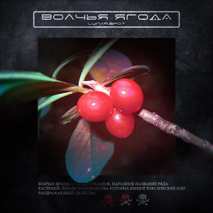 Волчья ягода