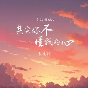 其实你不懂我的心 (民谣版)
