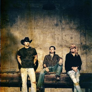 I Love My Old Bird Dog (& I Love You Too)