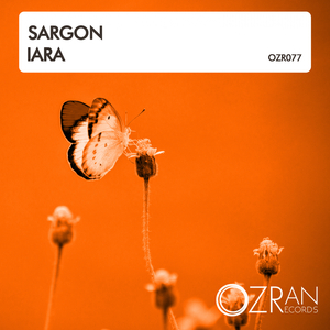 Iara (Original Mix)