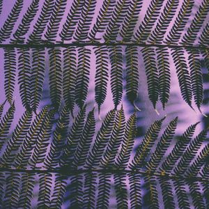 El Bebé Ahora Duerme