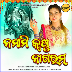 Namami Krishna Nagaram