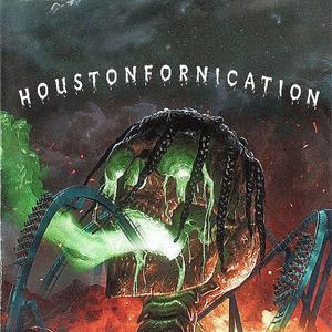 HOUSTONFORNICATION