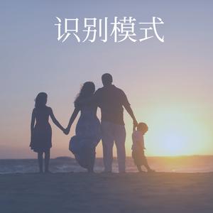 识别模式