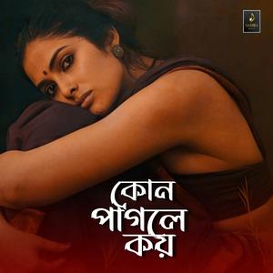 কোন পাগলে কয়