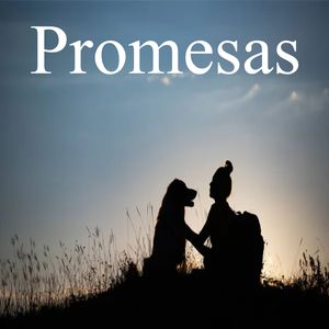 Promesas