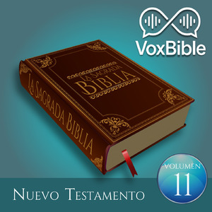 Pablo Habla de Su Trabajo