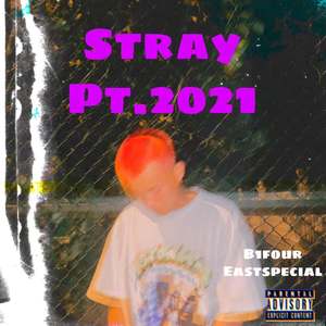 Stray Pt.2021