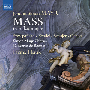 Mass in E-Flat Major (reconstructed and arranged by F. Hauk, M. Hößl):Domine Deus (Tenor)