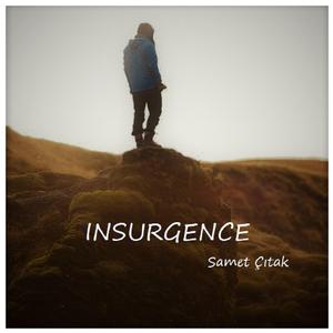 Insurgence