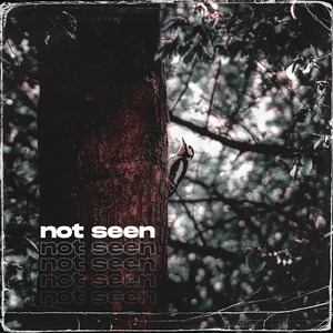 Not Seen