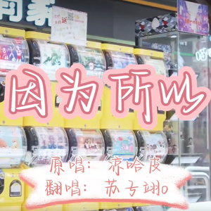 因为所以（COVER:凉哈皮）