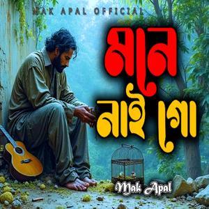 আমারে বন্ধুয়ার মনে নাই (Lofi Version)