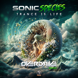 Trance Is Life (Overdrive (PSY) Remix)