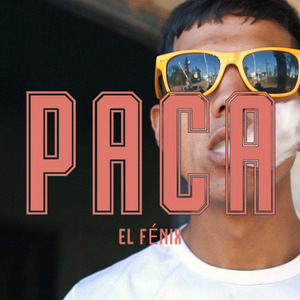 Paca