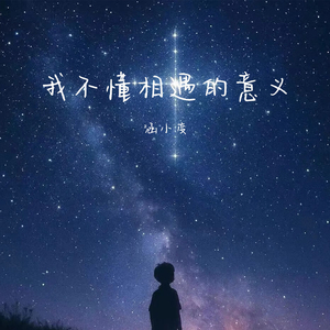 我不懂相遇的意义