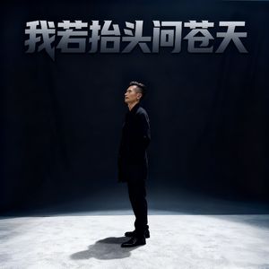 我若抬头问苍天
