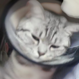 Merry Christmas Mr. Lawrance (cover)