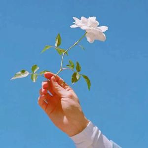 下一站，茶山刘(Cover:房东的猫)