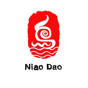 鸟岛波光（二胡）