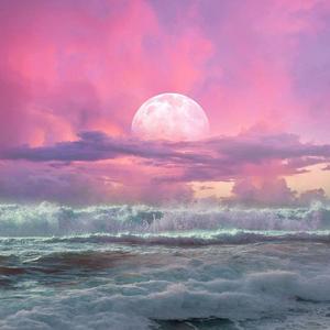 [FREE] 一万颗星星