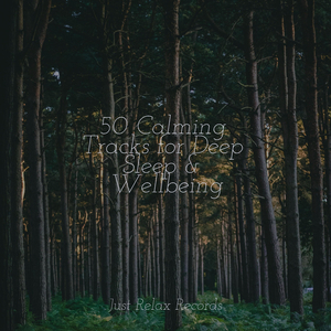 Mellifluous Echoes
